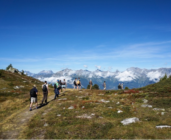 Guide to summer in Nendaz