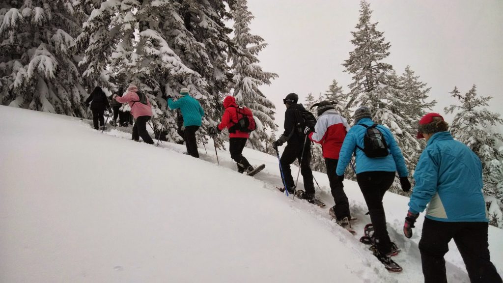 Snowshoe in Nendaz