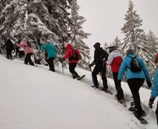 Snowshoe in Nendaz - Chalet Altitude 1600